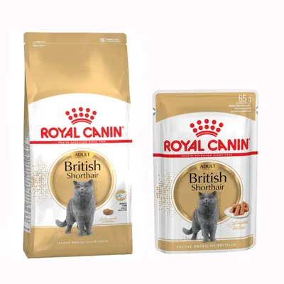 Blandet pakke: 2 kg Royal Canin kattetørfoder + 12 x 85 g Royal Canin i sauce - British Shorthair Blandet pakke: 2 kg Royal Canin kattetørfoder + 12 x 85 g Royal Canin i sauce - British Shorthair