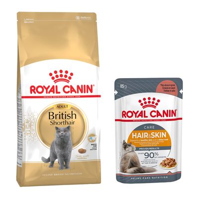 Sachet de croquettes Royal Canin Regular Sensible 33 pour chat, plusieurs sachets Royal Canin Care Digest 85 g, pastille verte avec texte Bi-nutrition.