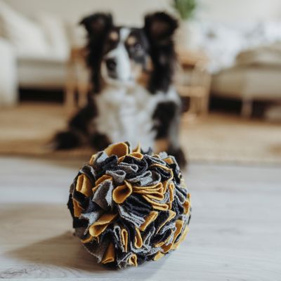 HUNTER snuffelbal Eiby