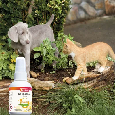 beaphar Derma Care Spray - 75 ml
