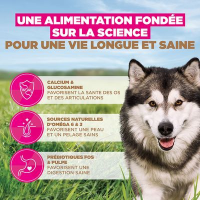 Eukanuba Grain Free Adult Large & Giant Breed Poisson de mer - 12 kg