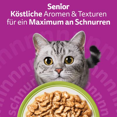 Jumbo pakiranje Whiskas Senior vrečke 84 x 85 g - 7+ mešani izbor v želeju