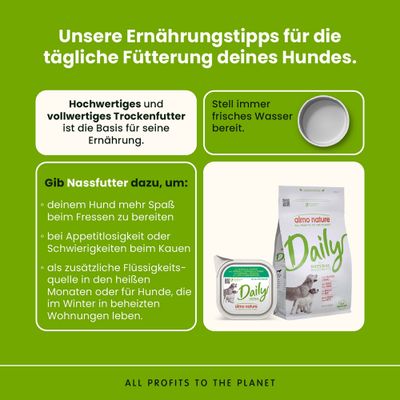 Ernährungstipps für Hunde: Hochwertiges Trockenfutter als Basis, immer frisches Wasser bereitstellen, Nassfutter für mehr Spaß, Appetitlosigkeit und zusätzliche Flüssigkeitsquelle.