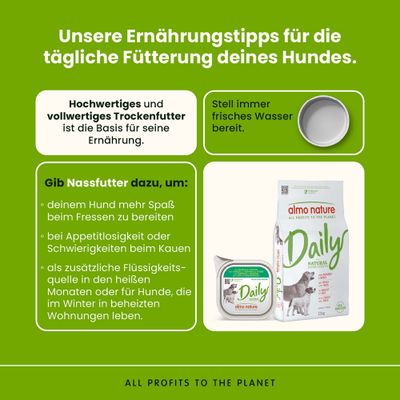 Ernährungstipps für Hunde: Hochwertiges Trockenfutter als Basis, immer frisches Wasser bereitstellen, Nassfutter bei Appetitlosigkeit oder als zusätzliche Flüssigkeitsquelle geben.