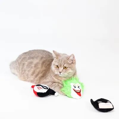 Chat allongé à côté de trois jouets en peluche représentant des visages stylisés, dont un avec des cheveux verts, un masque noir et un masque rouge et noir.