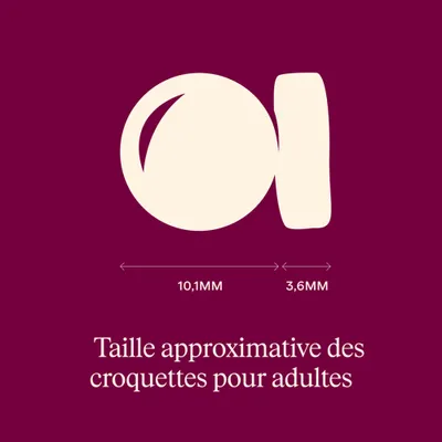 Carnilove Active Adult Sterilised Bœuf et Gibier - lot économique : 2 x 6 kg