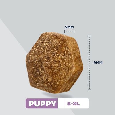 Eukanuba Special Care Sensitive Digestion Puppy с пилешко и пуешко - 2 x 2,3 кг