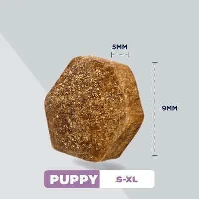 Eukanuba Special Care Sensitive Digestion Puppy с пилешко и пуешко - 2,3 кг