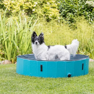 Trixie Hundepool