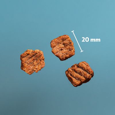 PrimaDog Northern Treats für Welpen