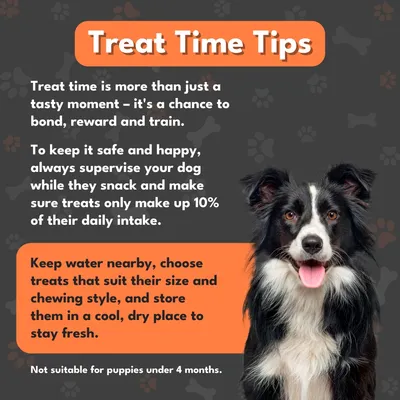 Tips for rewarding: Always supervise your dog, snacks should make up only 10% of the daily ration, provide fresh water, choose suitable snacks, store in a cool, dry place. Not suitable for puppies under 4 months. Tips for rewarding: Always supervise your dog, snacks should make up only 10% of the daily ration, provide fresh water, choose suitable snacks, store in a cool, dry place. Not suitable for puppies under 4 months.