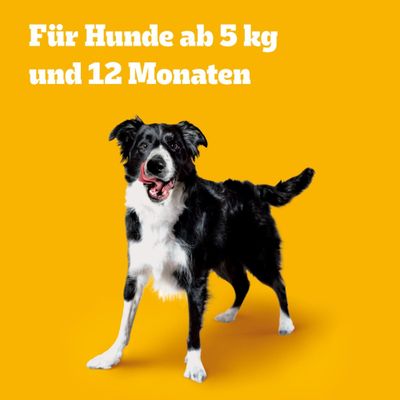 Für Hunde ab 5 kg und 12 Monaten
