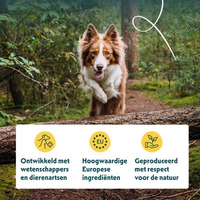 Ontwikkeld samen met wetenschappers en dierenartsen, hoogwaardige Europese ingrediënten, geproduceerd met respect voor de natuur.