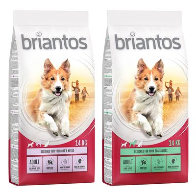 Multipack risparmio! 2 x Briantos 2 x 14 kg Mix Adult: Salmone + Agnello