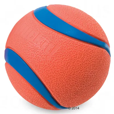 Chuckit! boll i orange och blått gummi, synlig text: Chuckit!, strukturerad yta