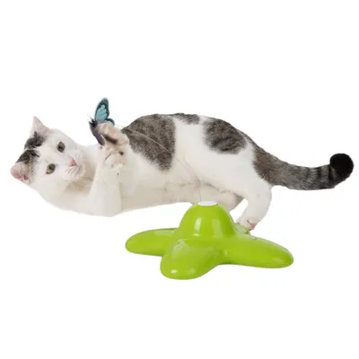 Chat blanc et gris jouant avec un jouet interactif vert en forme de croix, muni d’un papillon bleu fixé sur une tige.