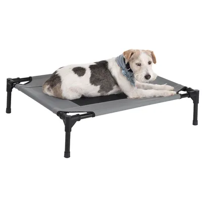 Chien allongé sur un lit surélevé pour chien avec cadre en métal noir et toile grise tendue, pieds antidérapants visibles.