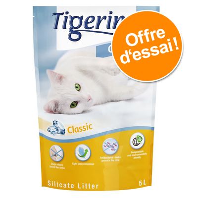 Comprendre Les Chats Leurs Miaulements Feulements Magazine Zooplus