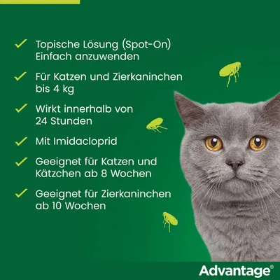 Advantage® für Katzen und Zierkaninchen - 4 Pipetten x 0,4 ml (< 4kg)