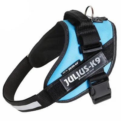 JULIUS-K9 feliratos, kék kutyahám fekete pánttal és fém karikával. Látható: „IDC by JULIUS-K9 Glowing in dark” felirat a hám oldalán.