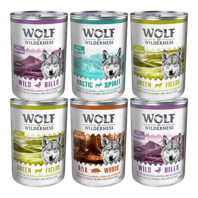 Seis latas de comida húmida para cães Wolf of Wilderness 400 g: Wild Hills, Arctic Spirit, Green Fields, Oak Woods. Texto visível: 100% grain-free.