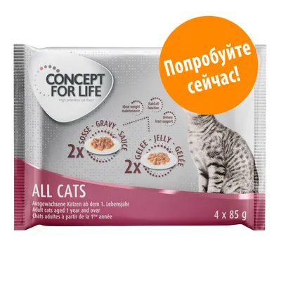 CONCEPT FOR LIFE ALL CATS, 4 x 85 г. Для взрослых кошек с 1 года. 2x соус, 2x желе. Текст на оранжевом круге: Попробуйте сейчас!
