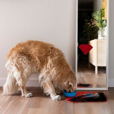 Rode siliconenmat in de vorm van het Superman-logo met verhoogde punten en verdiepingen.