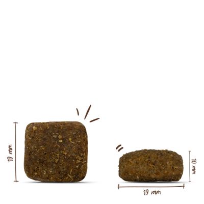Zwei Stücke Trockenfutter, eines von vorne und eines von der Seite gezeigt. Maße: 19 mm x 19 mm und 19 mm x 10 mm.
