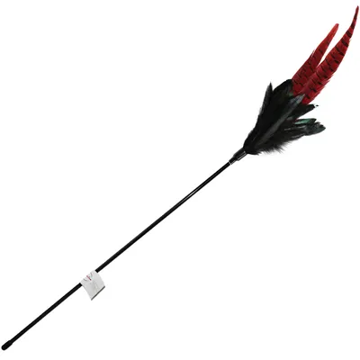 Mystic Long Feather kattvippa - 1 st