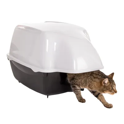 Closed cat litter box with white hood and black base, cat exiting through the entrance. Closed cat litter box with white hood and black base, cat exiting through the entrance.