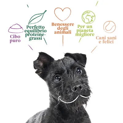 Cibo puro, perfetto equilibrio proteine-grassi, benessere degli animali, per un pianeta migliore, cani sani e felici. Testo visibile sopra cane nero.