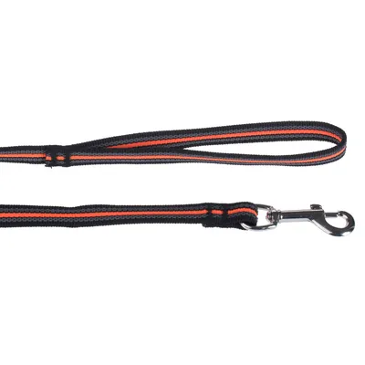Schwarze Hundeleine mit orangefarbenen Streifen und silbernem Karabinerhaken aus Metall.