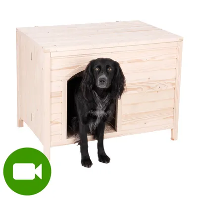 Drewniana buda dla psa, czarny pies stoi w wejściu. W lewym dolnym rogu zielona ikona kamery wideo.