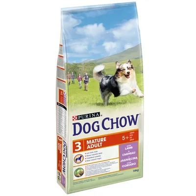 Vreča hrane za pse Purina Dog Chow Mature Adult 5+ z jagnjetino, 14 kg. Vidna oznaka za odrasle pse, starost 5+, in poudarek na ohranjanju telesne mase.