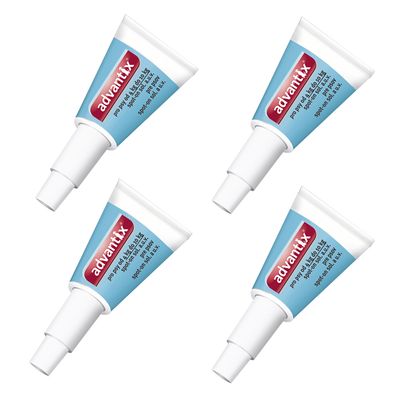 Čtyři tuby Advantix, nápis: advantix pro psy od 4 kg do 10 kg spot-on a. u. v.