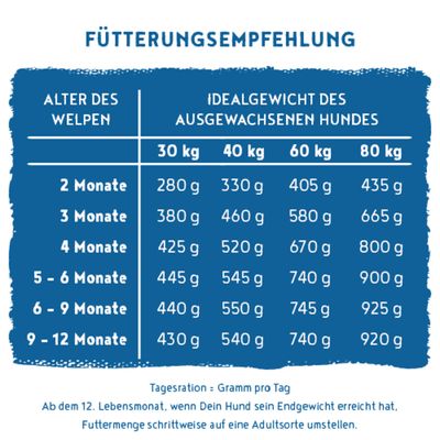 Fütterungsempfehlung für Welpen nach Alter und Idealgewicht des ausgewachsenen Hundes, Angaben in Gramm pro Tag für 30, 40, 60 und 80 kg. Hinweise zur Umstellung ab 12 Monaten.