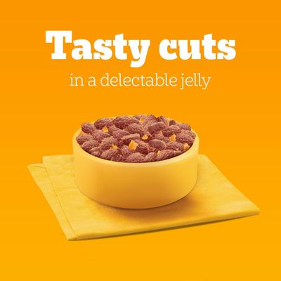 Pedigree Senior Pouch in Jelly Multipack - Multibuy: 24 x 100g