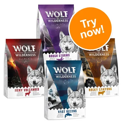 Wolf of Wilderness Elements dog food packs: Fiery Volcanoes, Rough Storms, Vast Oceans, Rocky Canyons. Each 1kg, single animal protein. Orange badge reads 'Try now!'.