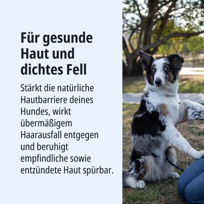 Für gesunde Haut und dichtes Fell. Stärkt die natürliche Hautbarriere, wirkt übermäßigem Haarausfall entgegen und beruhigt empfindliche sowie entzündete Haut spürbar.