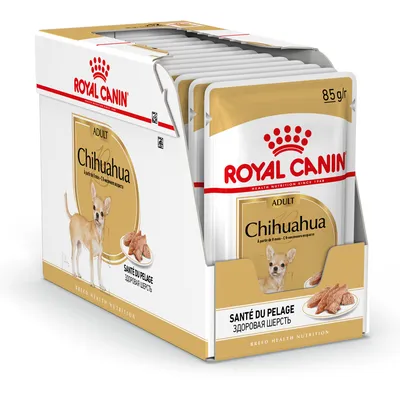 Box containing multiple 85g pouches labelled Royal Canin Adult Chihuahua, with image of food pieces and text highlighting coat health benefits.