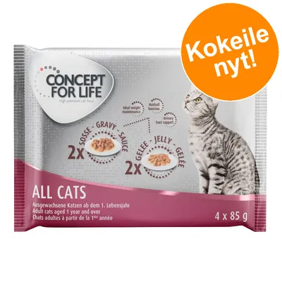 Concept for Life All Cats märkäruoka aikuisille kissoille, 4 x 85 g. Pakkaus sisältää 2 annosta kastikkeessa ja 2 hyytelössä. Oranssi ympyrä: Kokeile nyt!