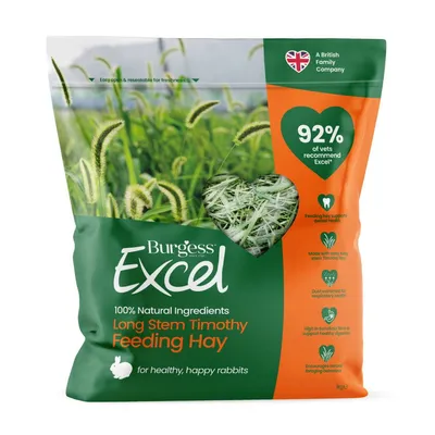 Burgess Excel Long Stem Feeding Hay - 1kg