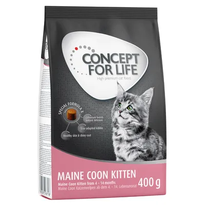 Sac de croquettes Concept for Life Maine Coon Kitten 400 g, visible texte anglais : colostrum boosts natural defences, size-adapted kibble, healthy skin & shiny coat. Pour chaton 4–14 mois.
