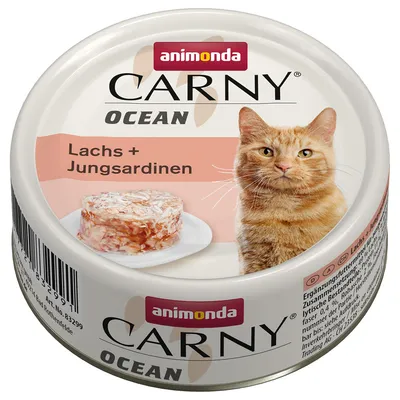 Boîte de nourriture pour chat animonda Carny Ocean, texte visible : Lachs + Jungsardinen. Photo d’un chat roux et d’une portion de pâtée sur une assiette.