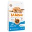 IAMS Advanced Nutrition Adult Cat mit Seefisch 3 kg