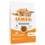 IAMS Advanced Nutrition Light/Sterilised met Kip 10 kg