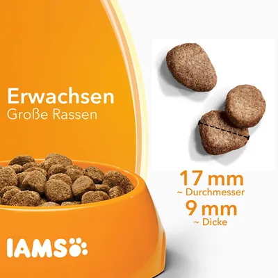 IAMS Erwachsen Große Rassen -kuivaruokanappuloita, halkaisija noin 17 mm, paksuus noin 9 mm. Teksti saksaksi. Näkyvissä oranssi ruokakuppi ja nappuloiden lähikuva.