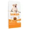 IAMS Advanced Nutrition Adult Large Dog mit Huhn 12 kg