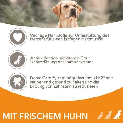 Wichtige Nährstoffe für Herzgesundheit, Antioxidantien mit Vitamin E für Immunsystem, DentalCare System zur Zahnpflege. Mit frischem Huhn.