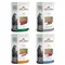 Sparpaket Almo Nature HFC Jelly Pouch 24 x 55 g Mixpaket (4 Sorten)